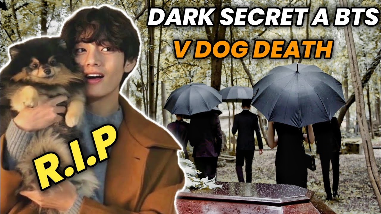 Dark Secret A BTS V Dog Death 😭 BTS V Dog Yeontan Death Dark Reason 🙏 Yeontan All Latest Videos 😍