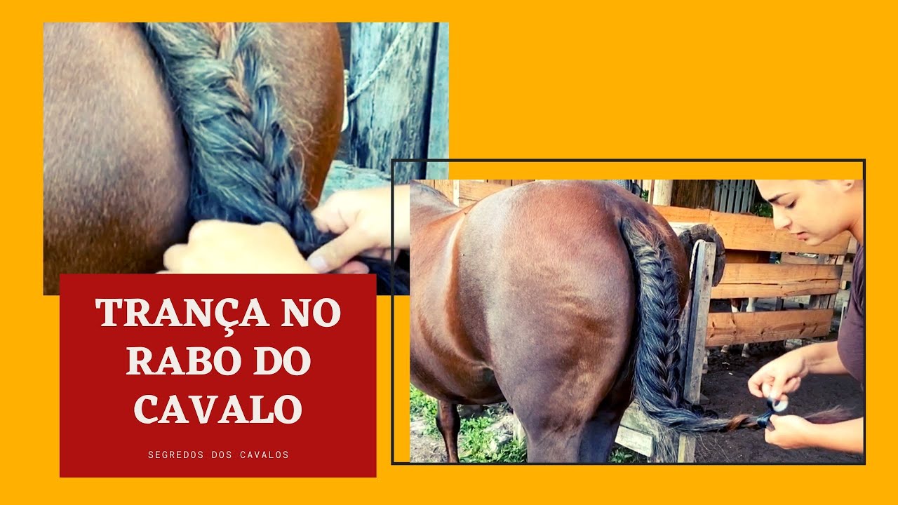 TRANÇA EMBUTIDA NO RABO DO CAVALO