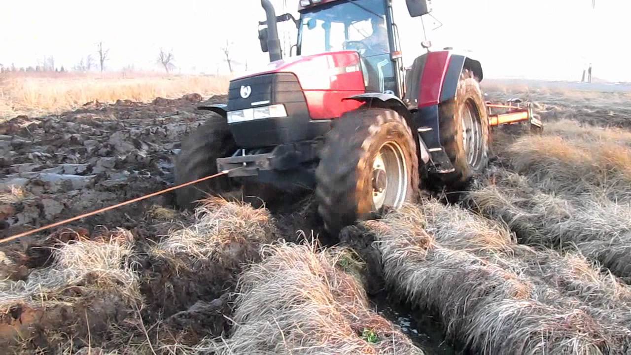 Wiosna 2012 Obornik,Orka,talerzowanie,Siew Case MX 135 Case 5130