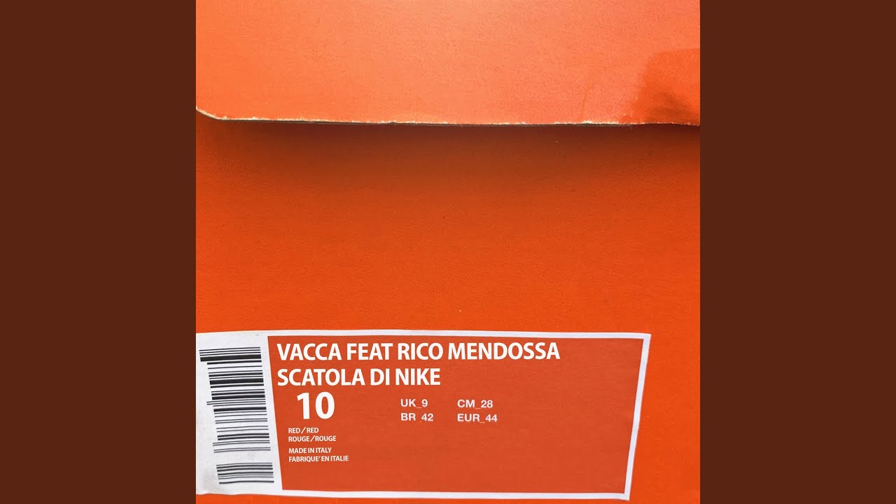 Scatola di Nike