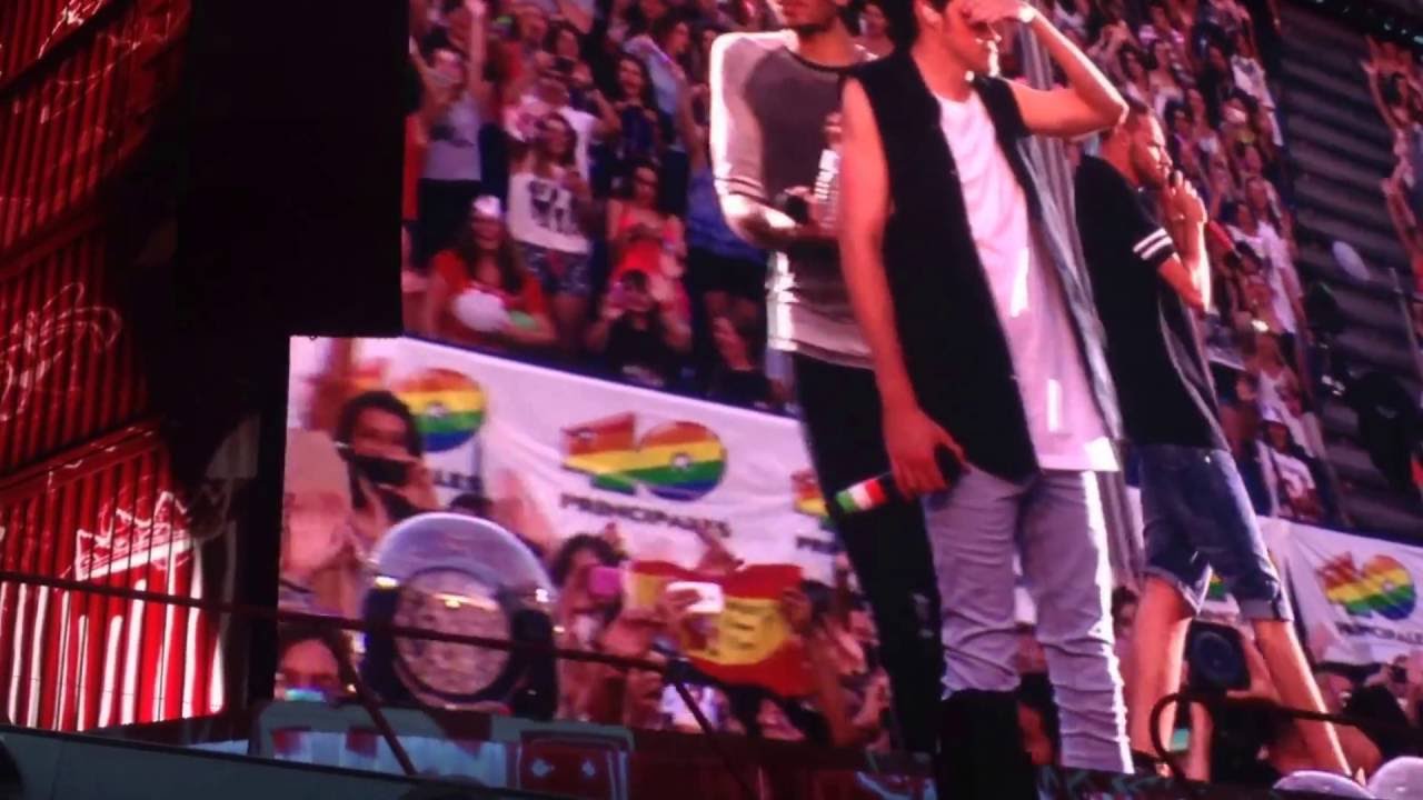 One Direction: Where We Are Tour Madrid 11/07/2014