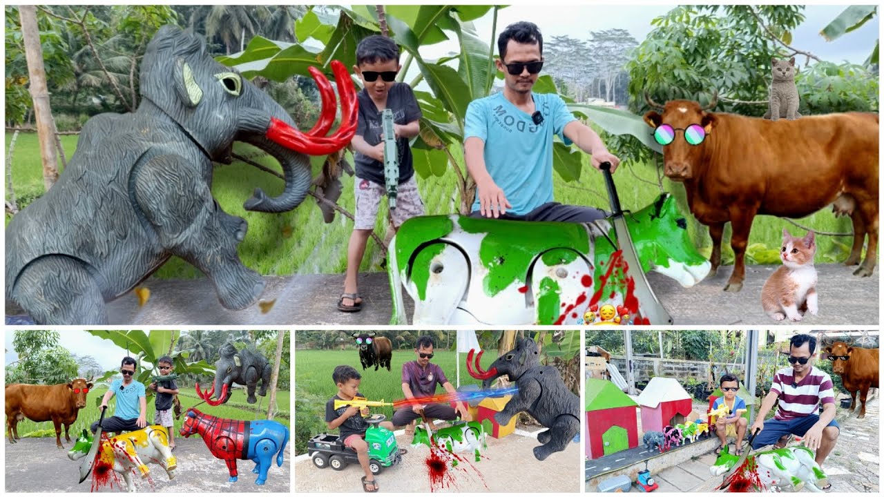 WOW ‼️🐮🐮 5 EPISODE -  EDISI WADIDAU ‼️PROSES POTONG SAPI MOO KURBAN