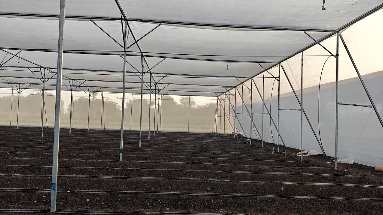 How to Build a Net House for Advanced Farming #nethouse #farming #advance #trending #viral #video 