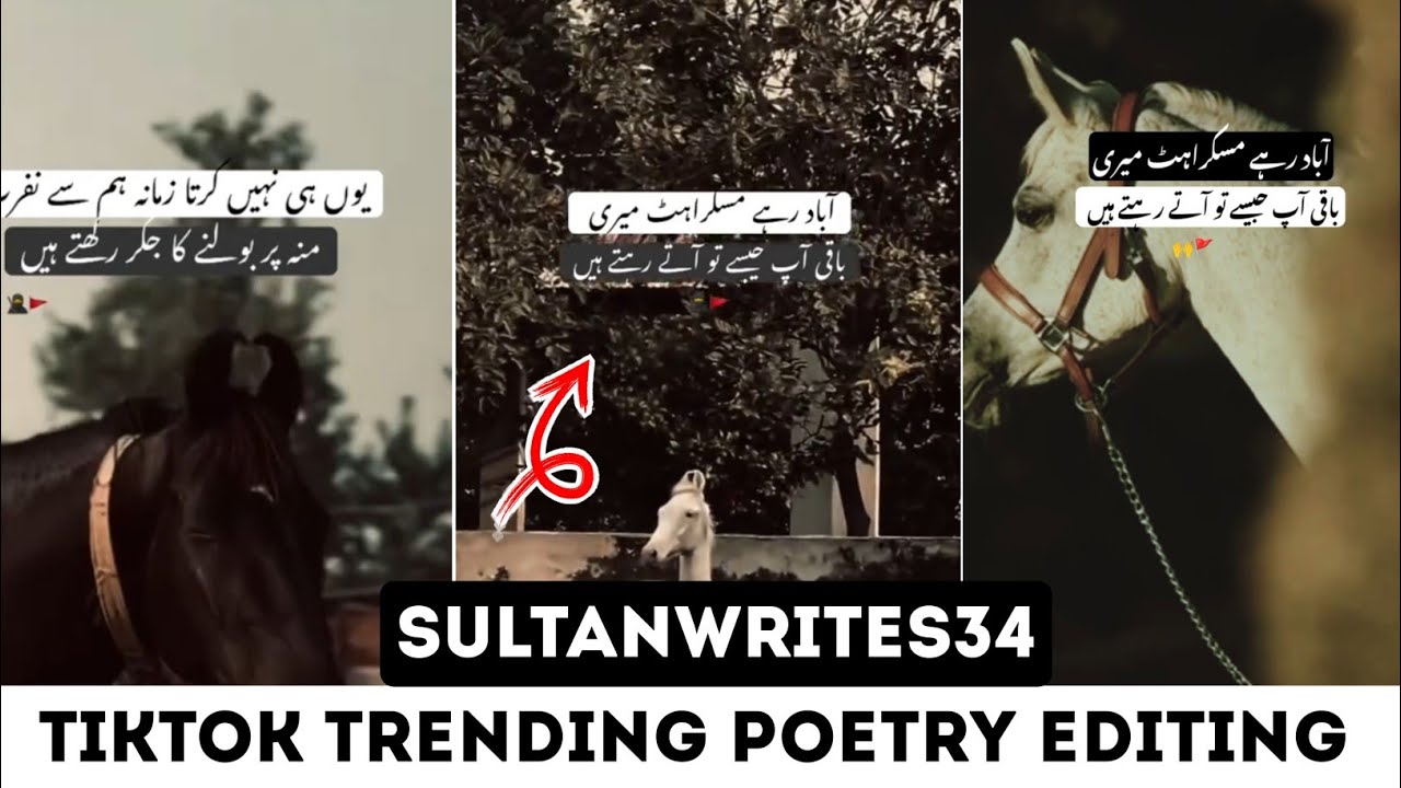 Sultanwrites34 TikTok Trending Poetry Editing Toturial | Aesthetic Hourse Poetry Editing Inshot