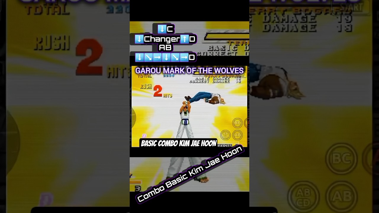 Basic Combo Kim Jae Hoon (Garou Mark OF The Wolves)