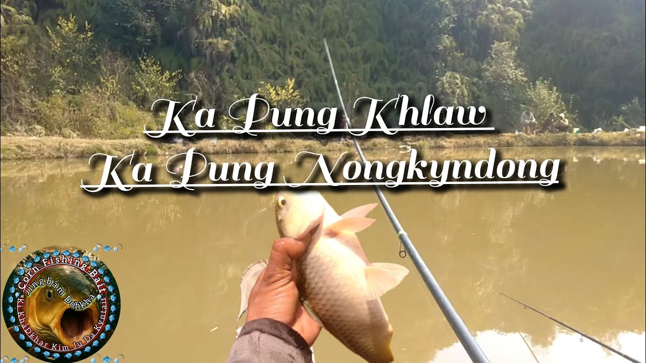 Ka Pung Khlaw Ka Pung Nongkyndong|| Ka Pung Shnong Trei Beit u Corn Fishing Bait 🐠🐠🎣