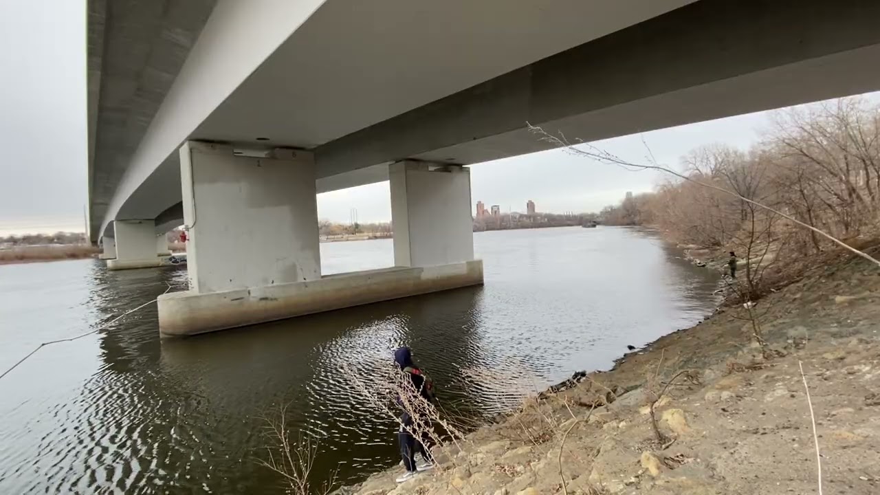 Fishing the North Plymouth Bridge, Basset Creek west … walleye ? Sauger ? Smallmouth ? Prespawn ?