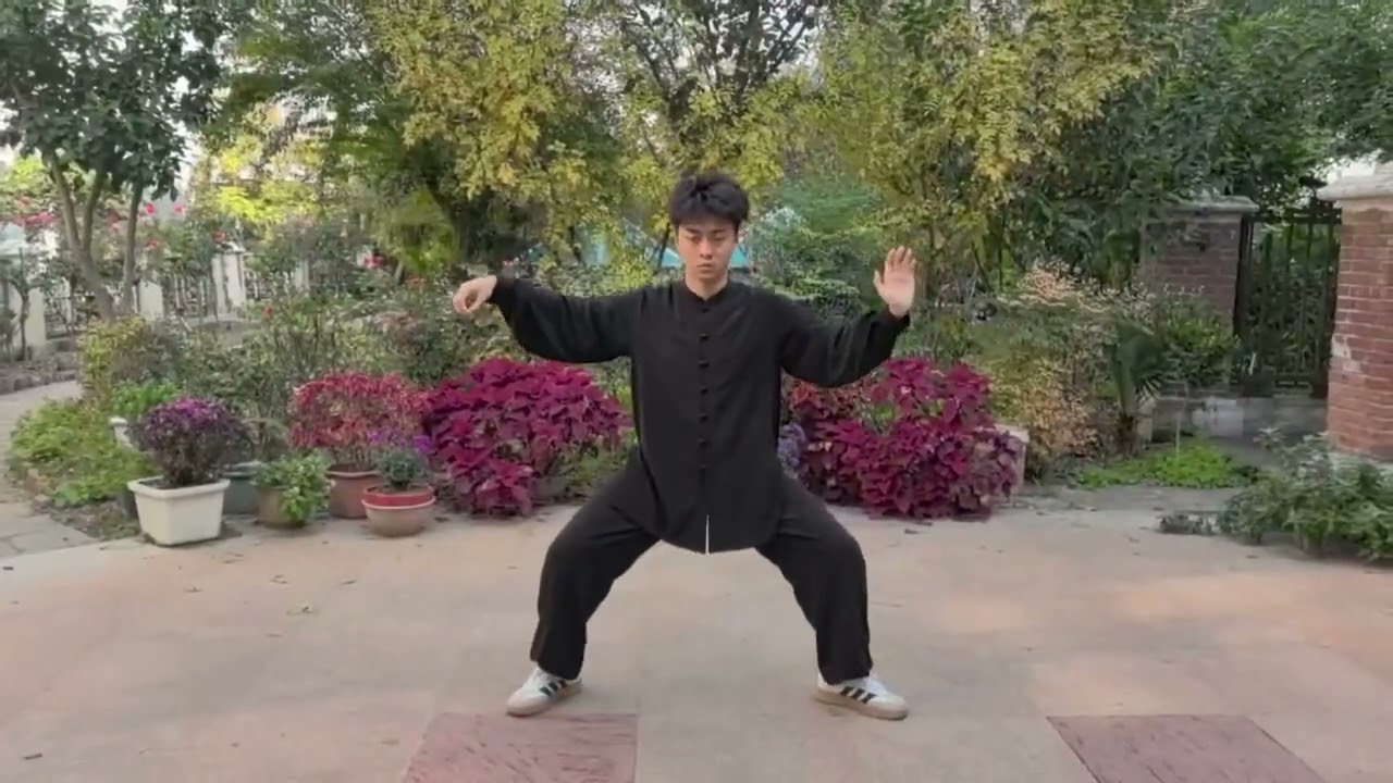 Traditional Chinese Tai Chi Kung Fu 1