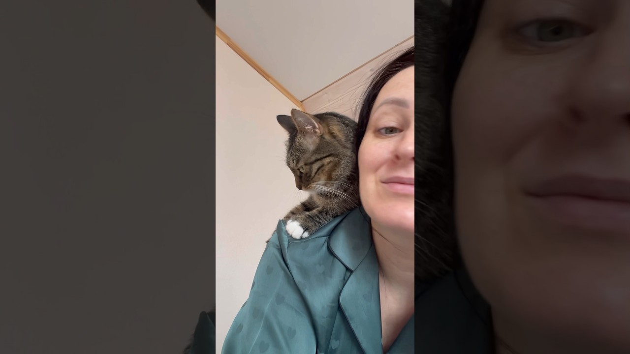 САМЫЙ ЛАСКОВЫЙ ЗВЕРЬ😻😃#pets #family #vlog #cat