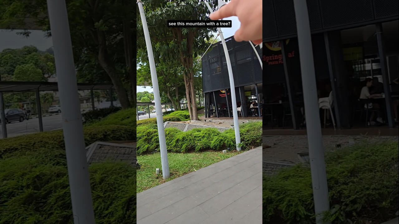 when you are in front of a busy junction a small mound and tree and act as an energy buffer
