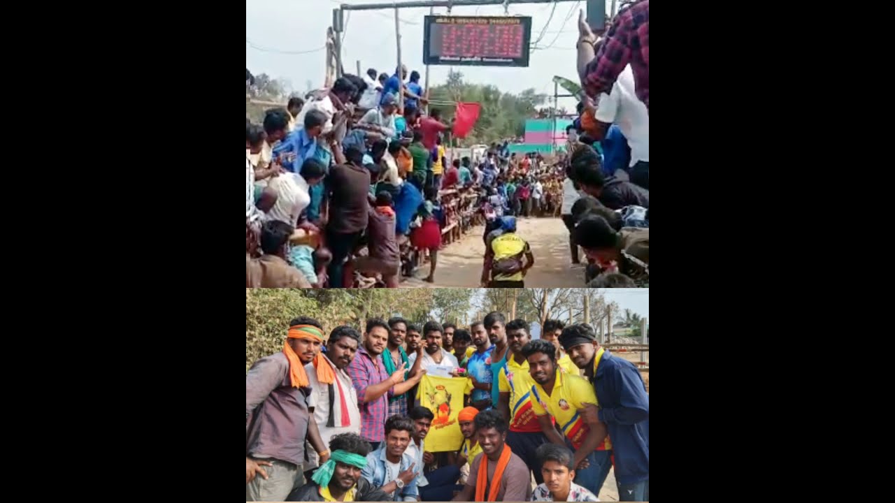 🦬Chinnar Chittu Kururi 1st🏅price🏆 in Thippampatti (2021) //  Krishnagiri Eruthukattu...
