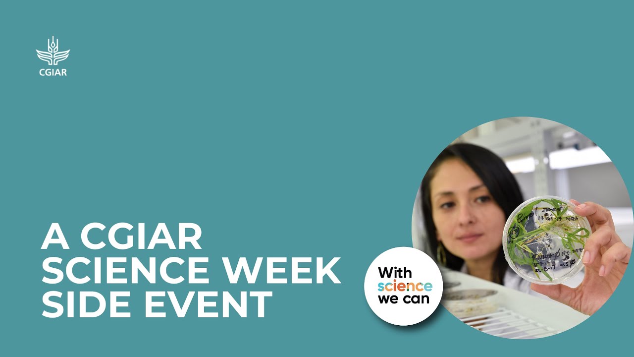 Accelerating Agricultural Innovations: Scaling CGIAR Science, Digital Solutions, and Delivery Models