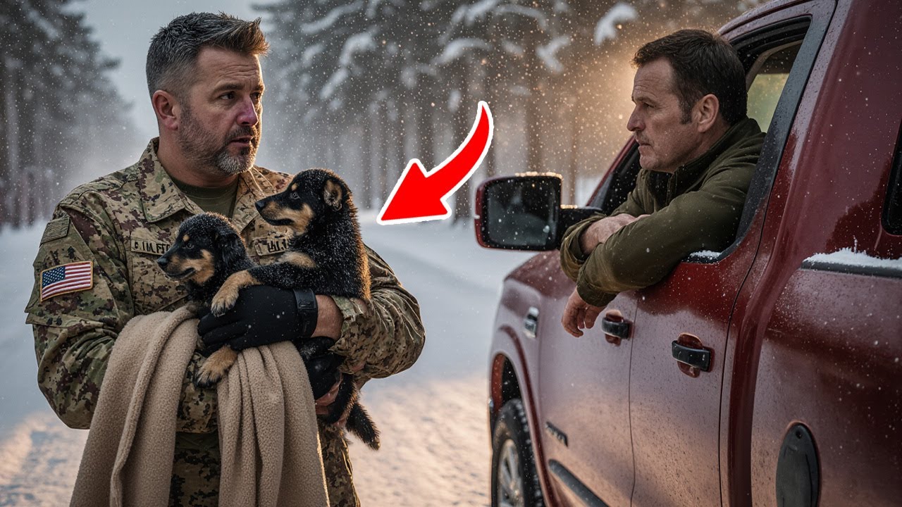 «Μπες, γιε μου. Κανείς δεν επιβιώνει μόνος», είπε ο βετεράνος — και τα κουτάβια έκλαψαν στο χιόνι.