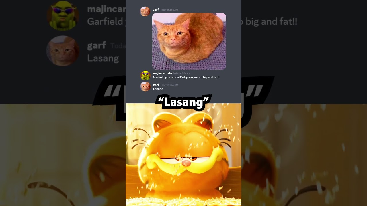 Bro loves lasagna 🐱