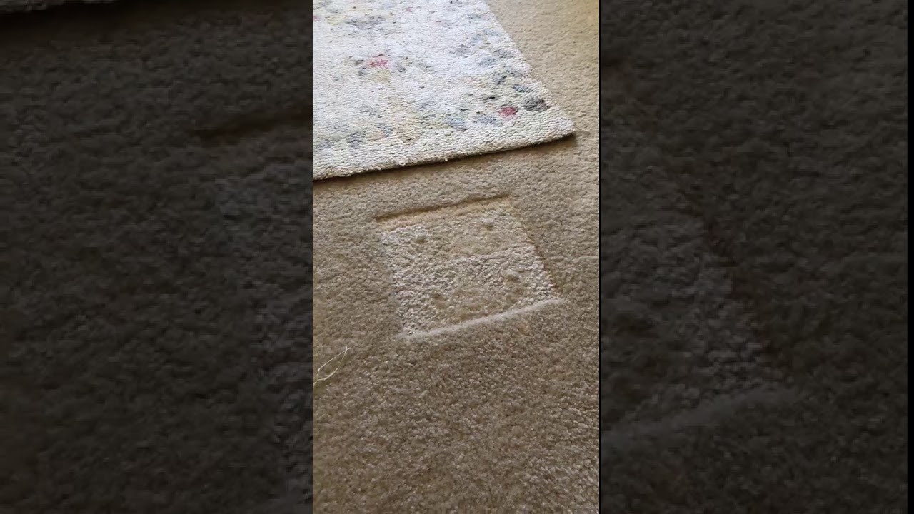 Remove indentations from carpet like magic!