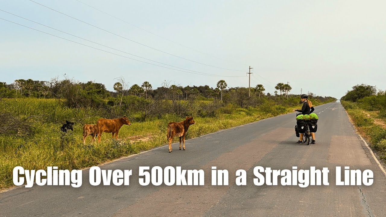 Cycling in Northern Argentina | Crossing into Salta Province | Cycling South America E39