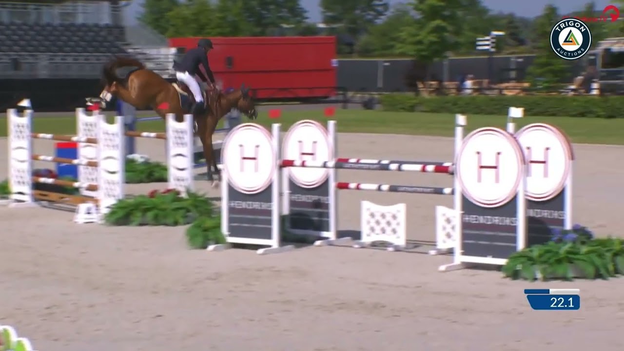 Turbo Power SIH (Aganix du Seigneur x Comme Il Faut x Diamant de Semilly)