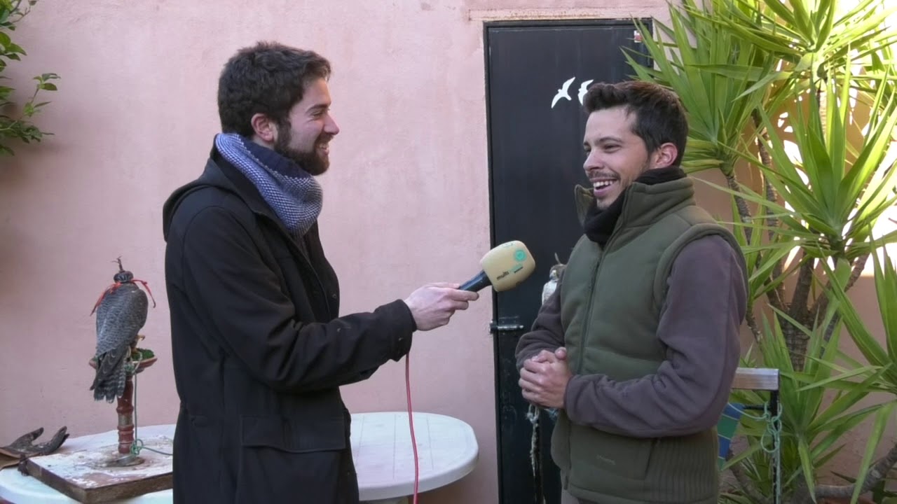Callejeando. Cetrería (30-1-2019)