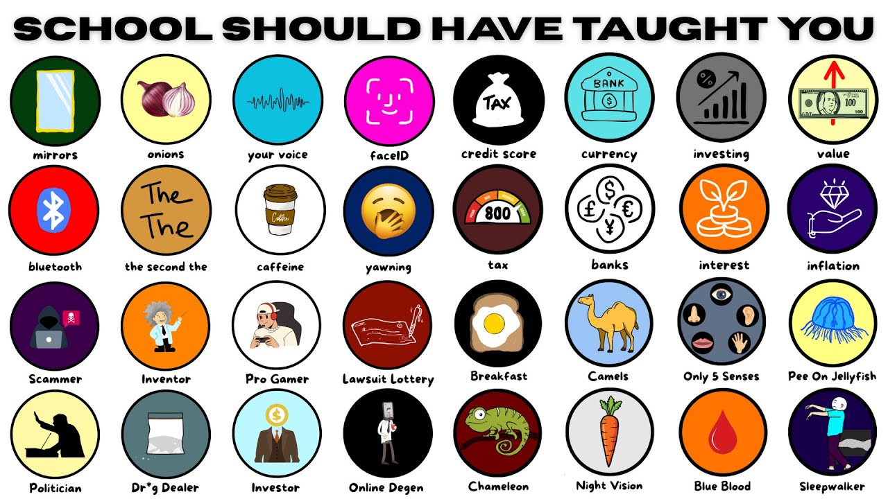 Everything School Should Have Taught You