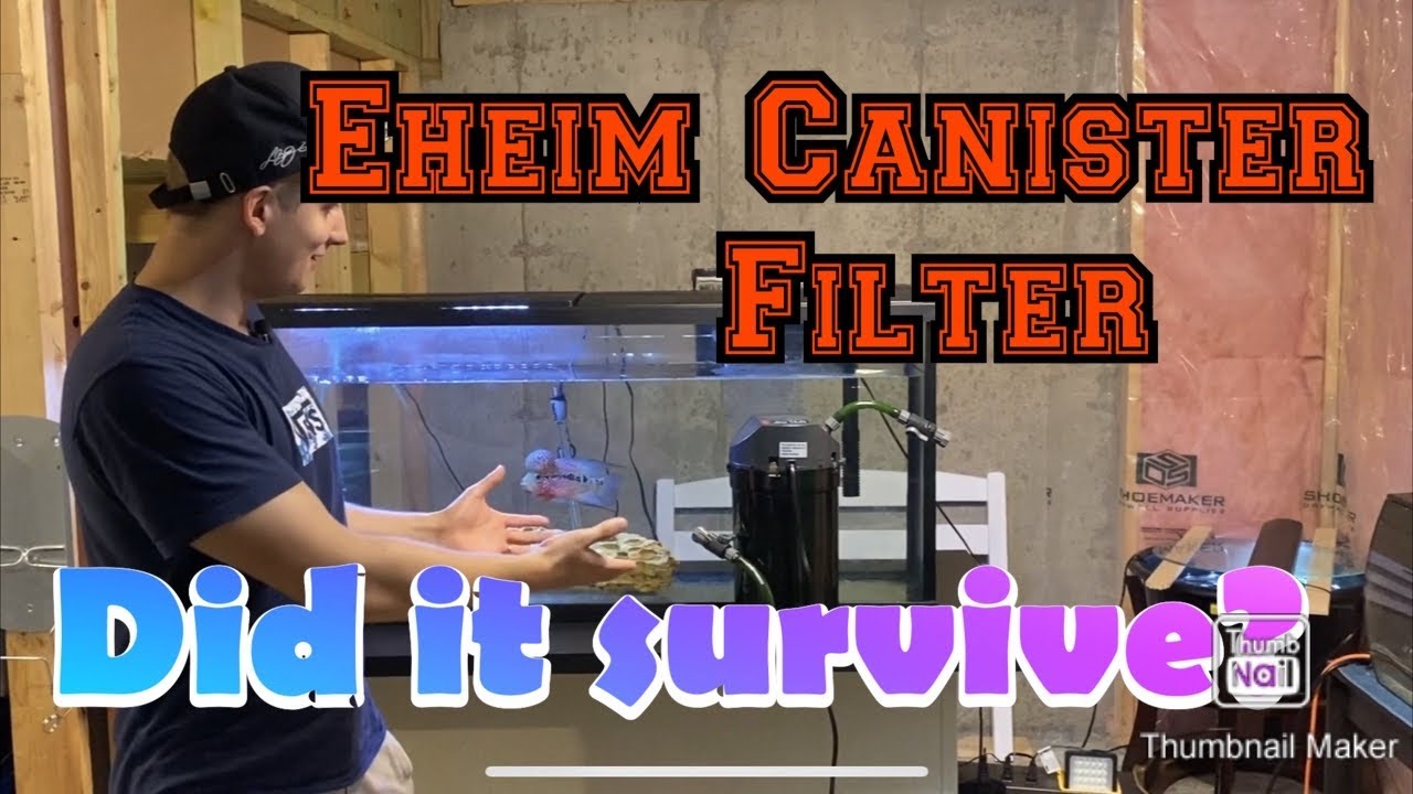 Eheim Canister Filter 350 | 1 Year Review