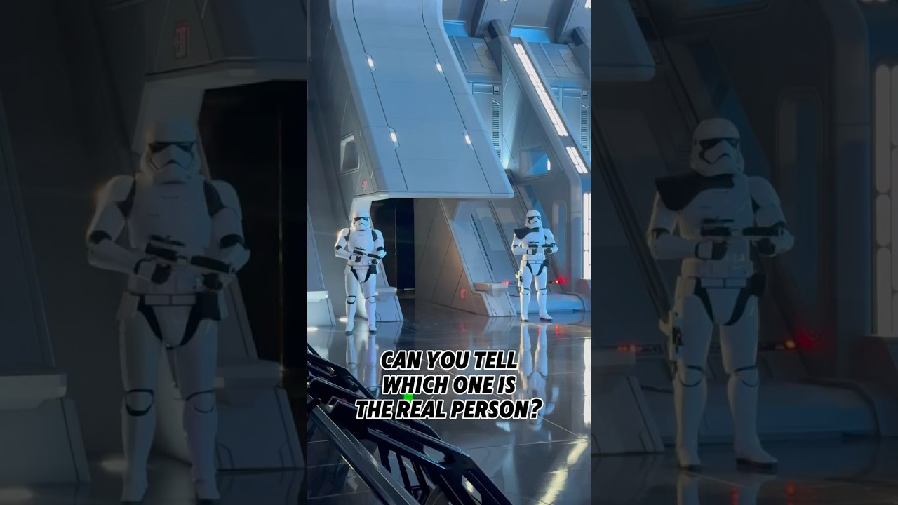 Which one is real? 