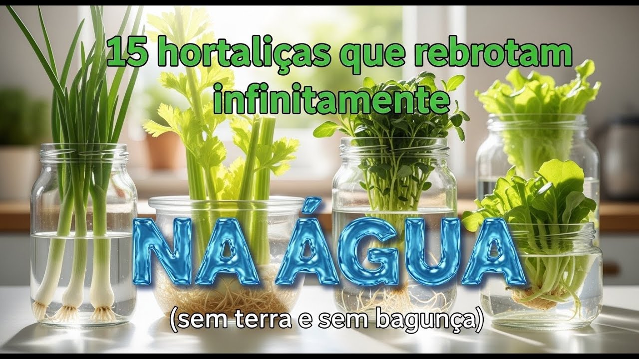 15 Hortaliças que Rebrotam Infinitamente na Água (Cozinha Sempre Cheia, Sem Terra Nem Bagunça)
