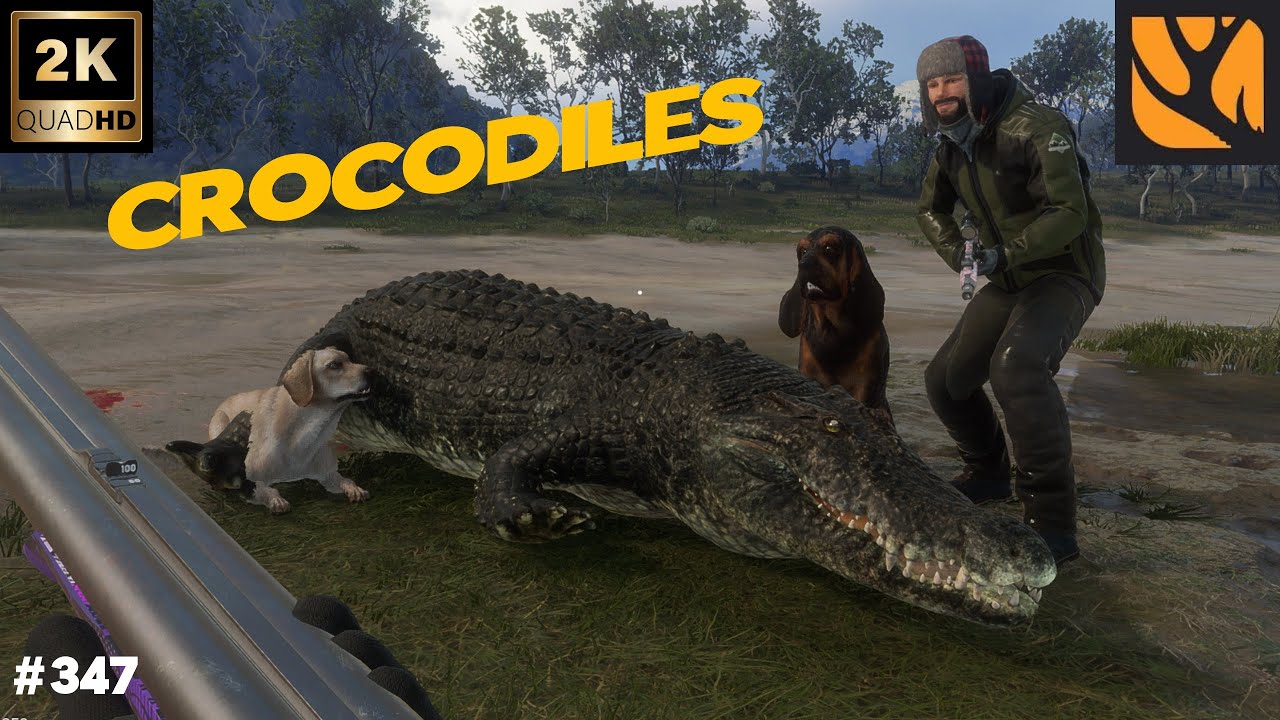 THE HUNTER CALL OF THE WILD #347 ON CHASSE LES CROCODILES SUR EMERALD COAST EN AUSTRALIE ! 2026