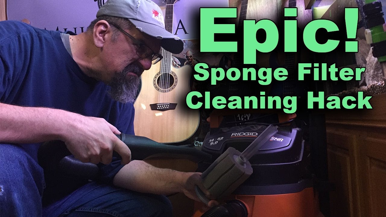 Sponge filter clean