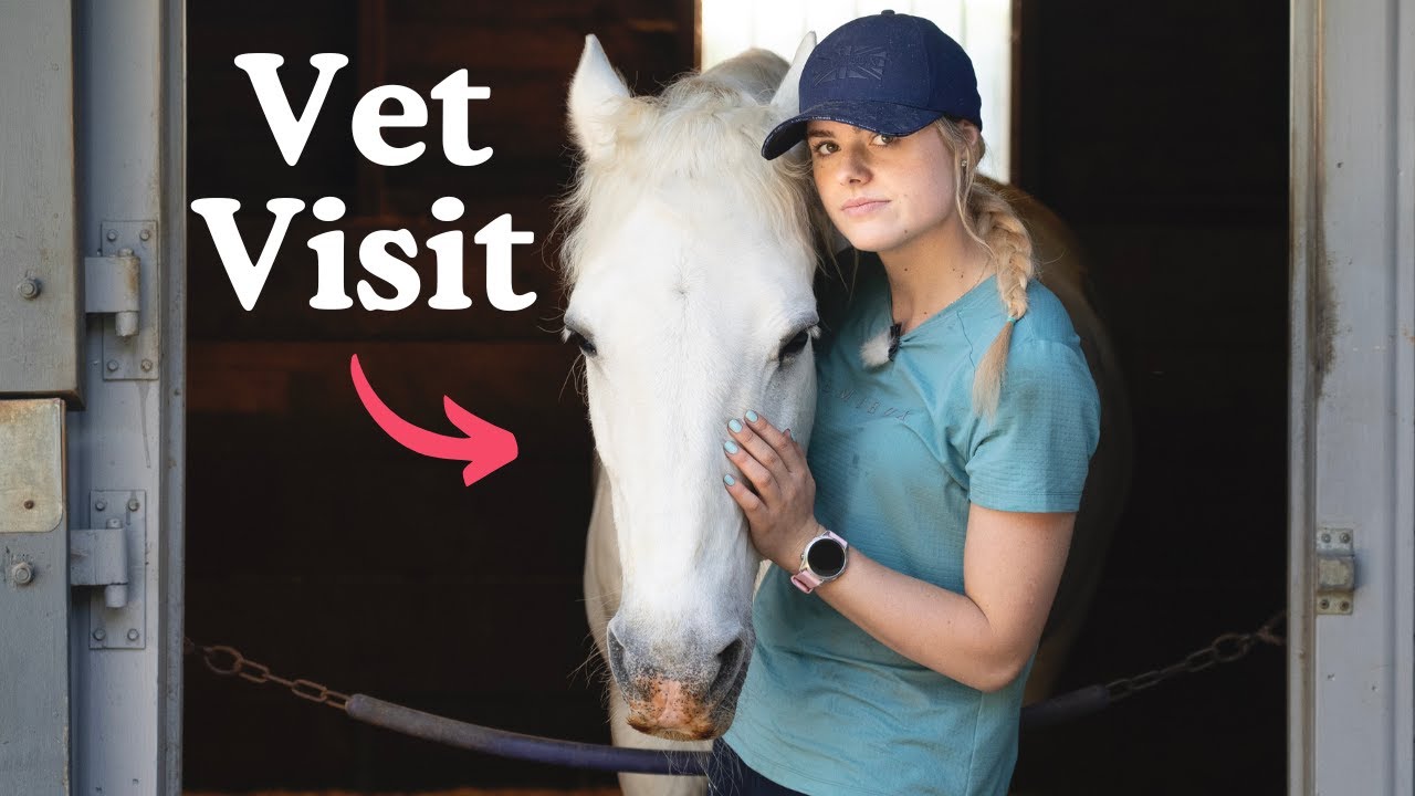 Vet Visit -Day in the Life - My Birthday - Riding