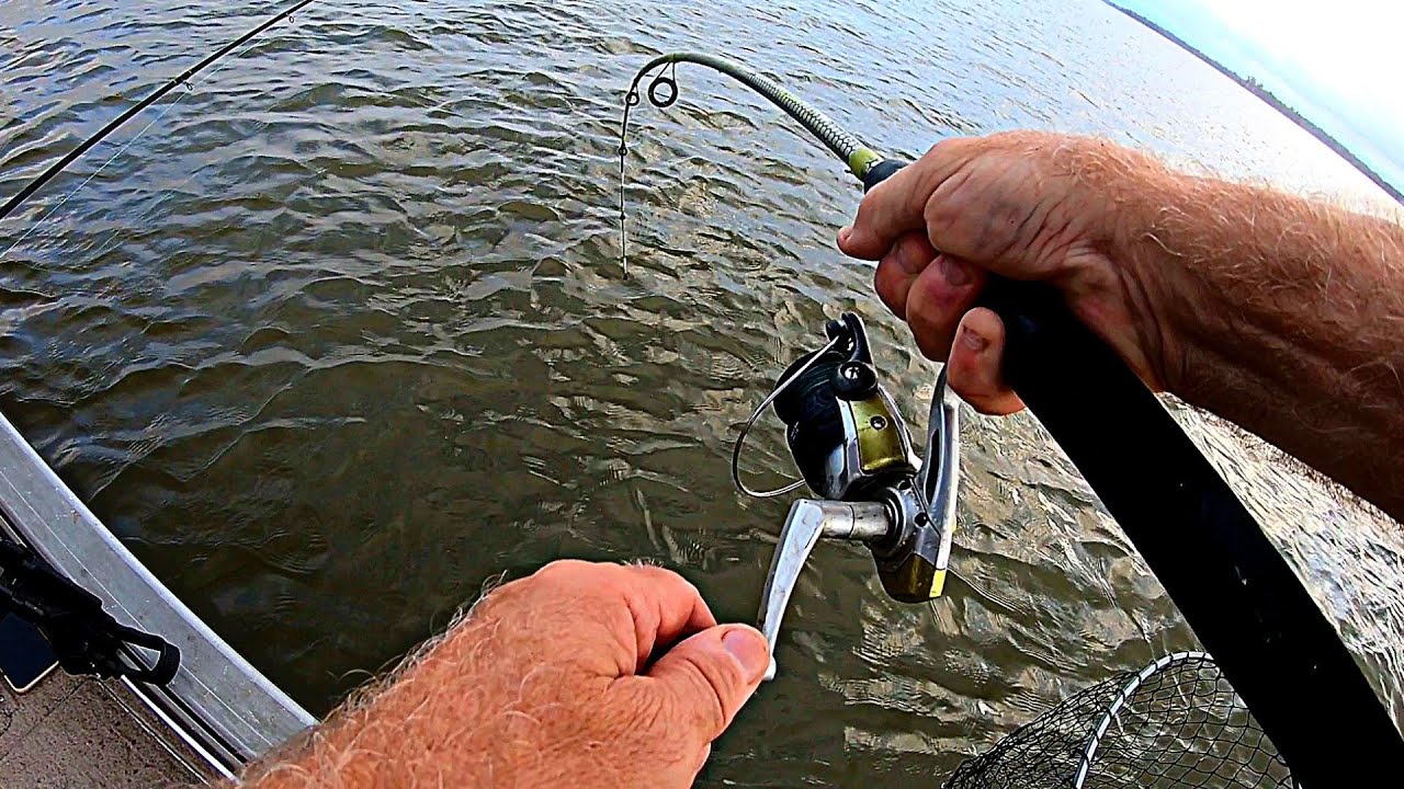 Suspend Fishing With Chicken | Product Review