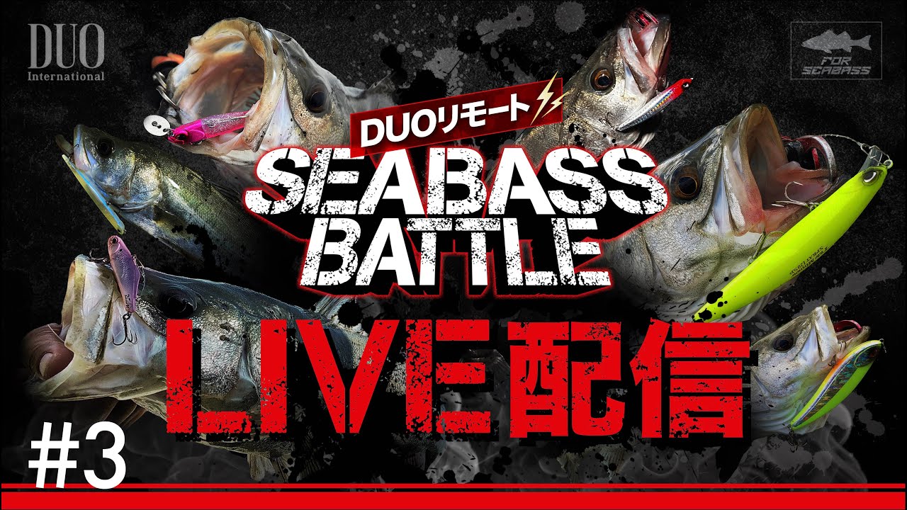 DUOリモートシーバスバトルライブ配信#3（2023/10/18）