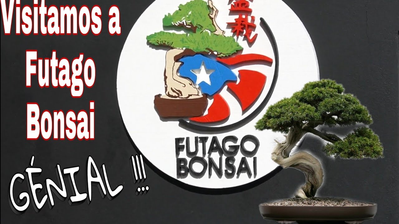 Bonsai Illusion visita Futago Bonsai y Conversamos un poco con Pedro Morales