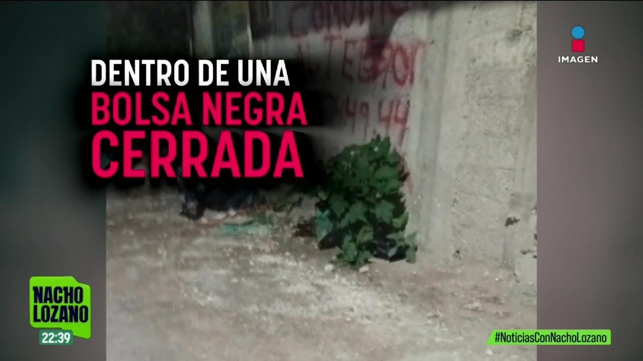 Una bebé fue abandonada dentro de una bolsa de basura en Ecatepec | Noticias con Nacho Lozano