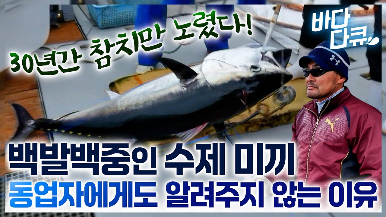 한번 잡은 참치 절대 놓치지 않는다! 참치만 파다가 혼자 잡는 법을 터득한 30년 베테랑 어부! 동업자에게도 알려주지 않는 참치 미끼 만드는 법 / #바다다큐