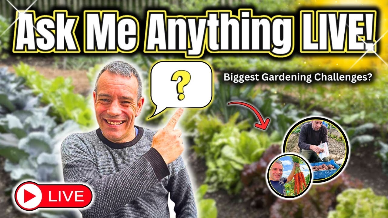 LIVE: Secrets I’ve Never Shared Before – Ask Me Anything!