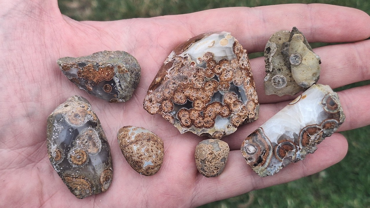Found Crazy Eye Agate In A Ditch ! Monte Lake Eye Agates | Ontario Rockhounding in BC