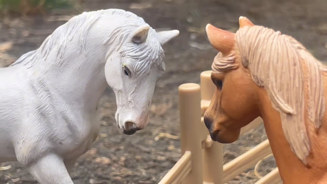 The herd life - Schleich horse movie/short film rp