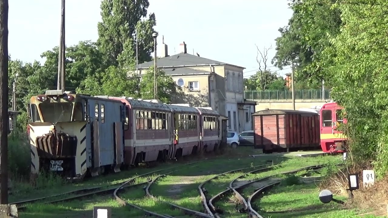 Gnieźnieńska Kolej Wąskotorowa GKW 2023 (Gniezno Wąskotorowe - Jelonek) [OPIS] [FHD] [SUB - ENG]