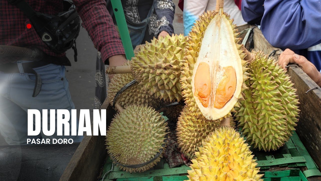 Durian Pasar Doro|| 24 Januari 2026