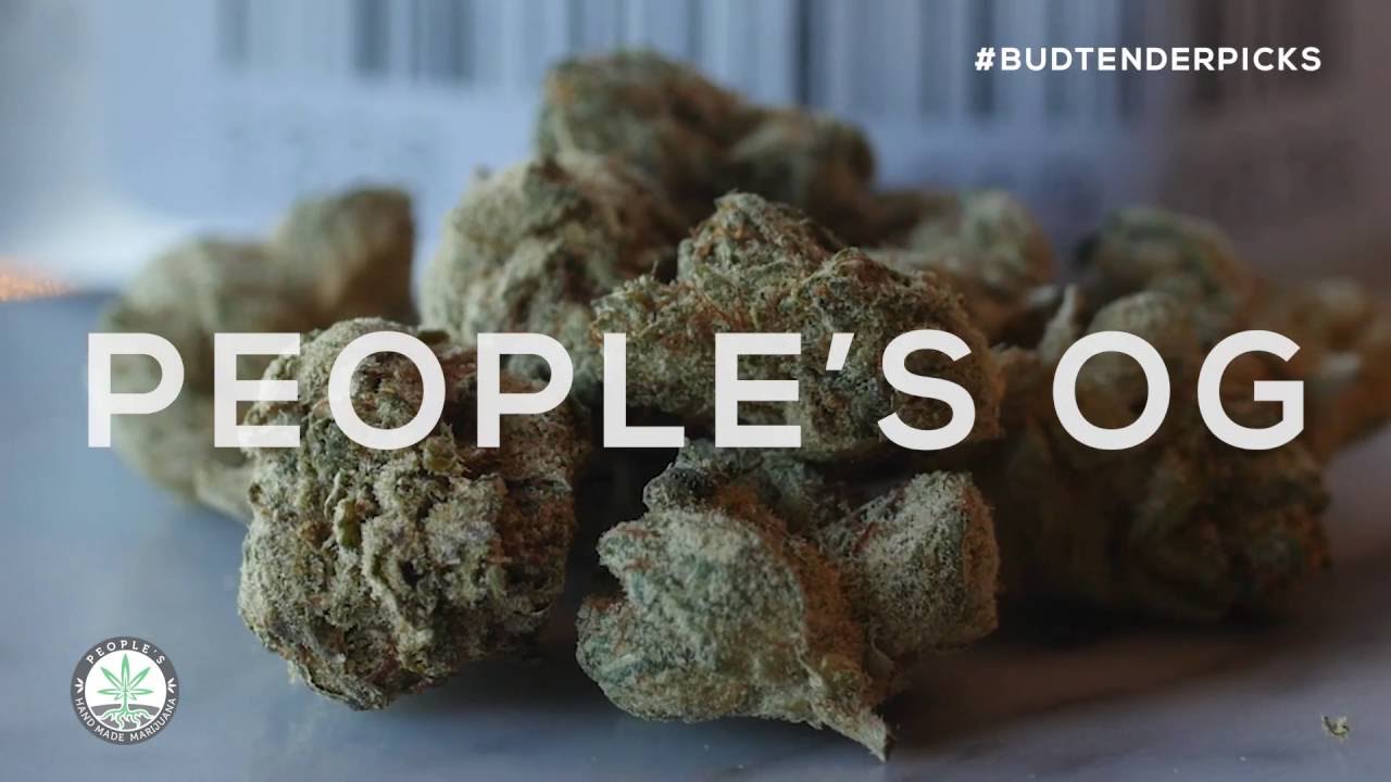 Budtender Picks - Mike: People's OG
