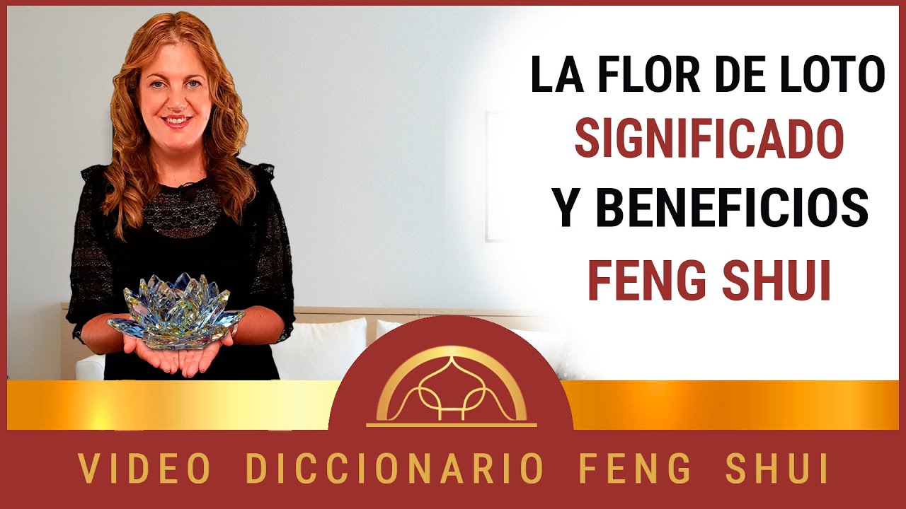✔ La Flor de Loto 🌸 ⭐ ⭐ ⭐ ⭐ y su Significado en Feng Shui ㊗️