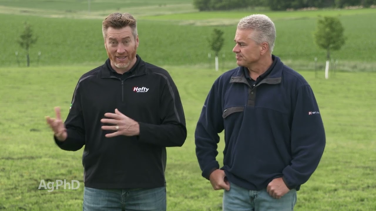 Aerial vs. Ground Application