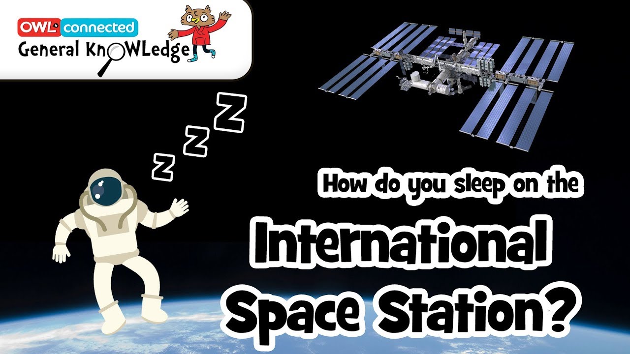 How do astronauts sleep in space? | General KnOWLedge