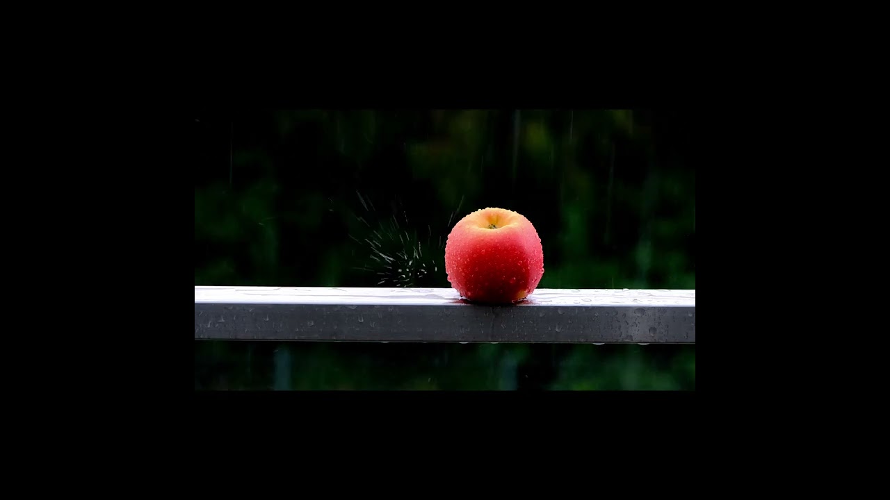 Ambient Rain Sounds – Long Rain Video for Sleep & Focus