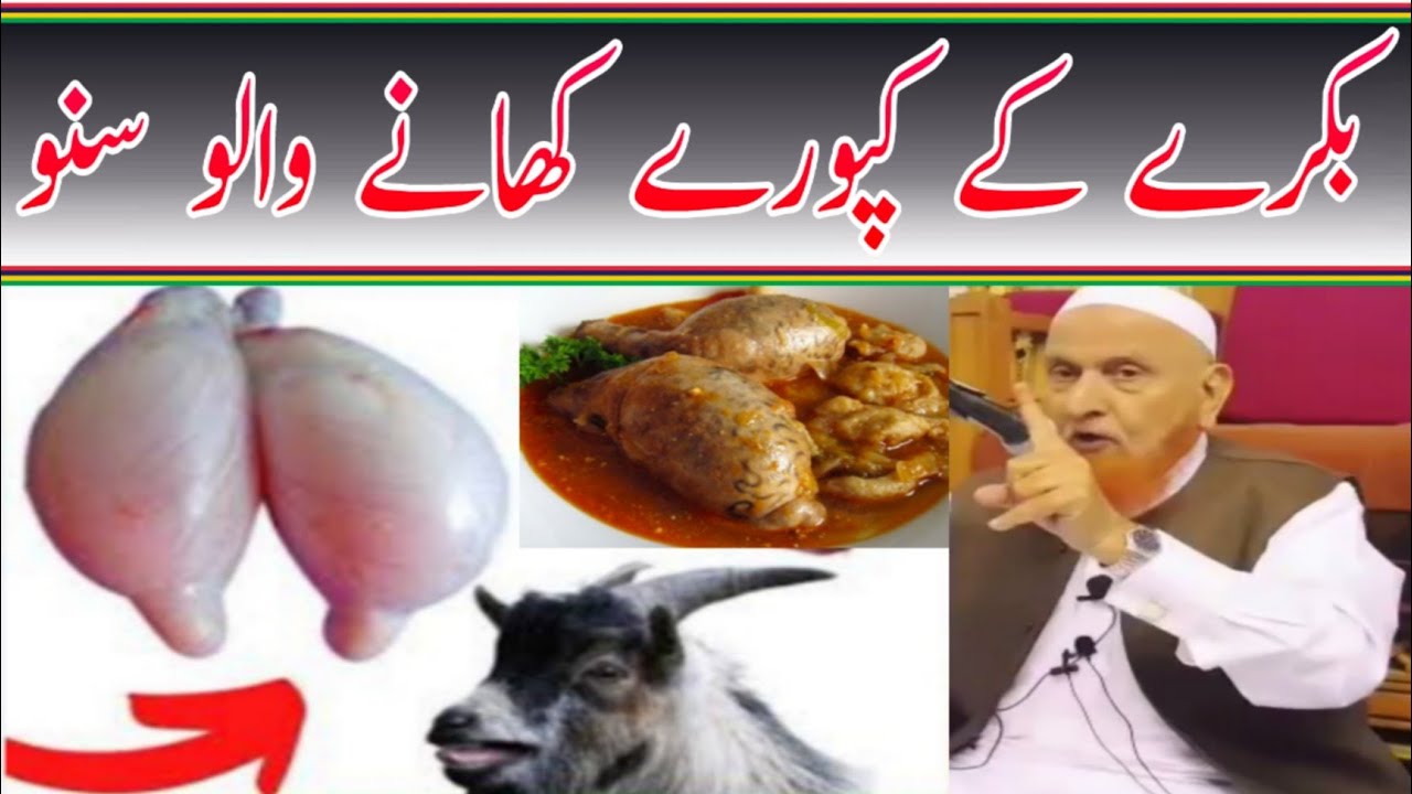 بکرے کے کپورے کھانے والو سنو/ مولانا مکی الحجازی /مدینہ درس /Madina Dars