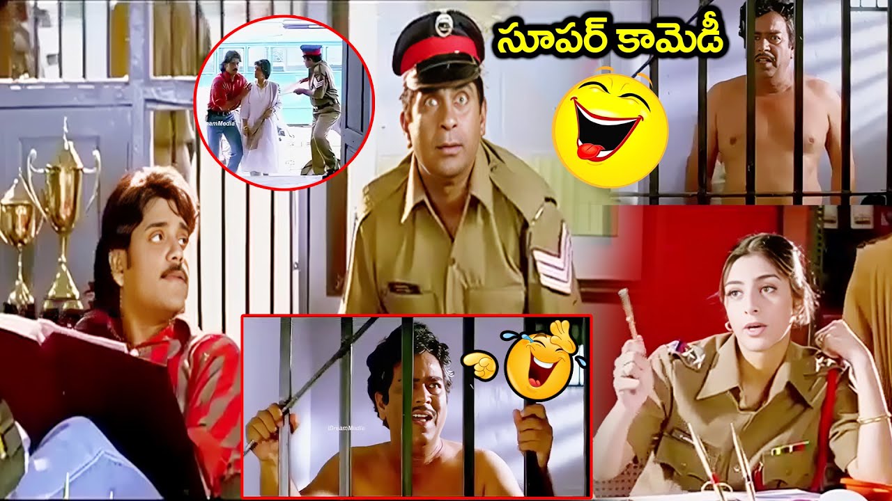 Aavida Maa Avida Latest Movie Back 2 Back Comedy Scenes | Nagarjuna, Brahmanandam And Tabu
