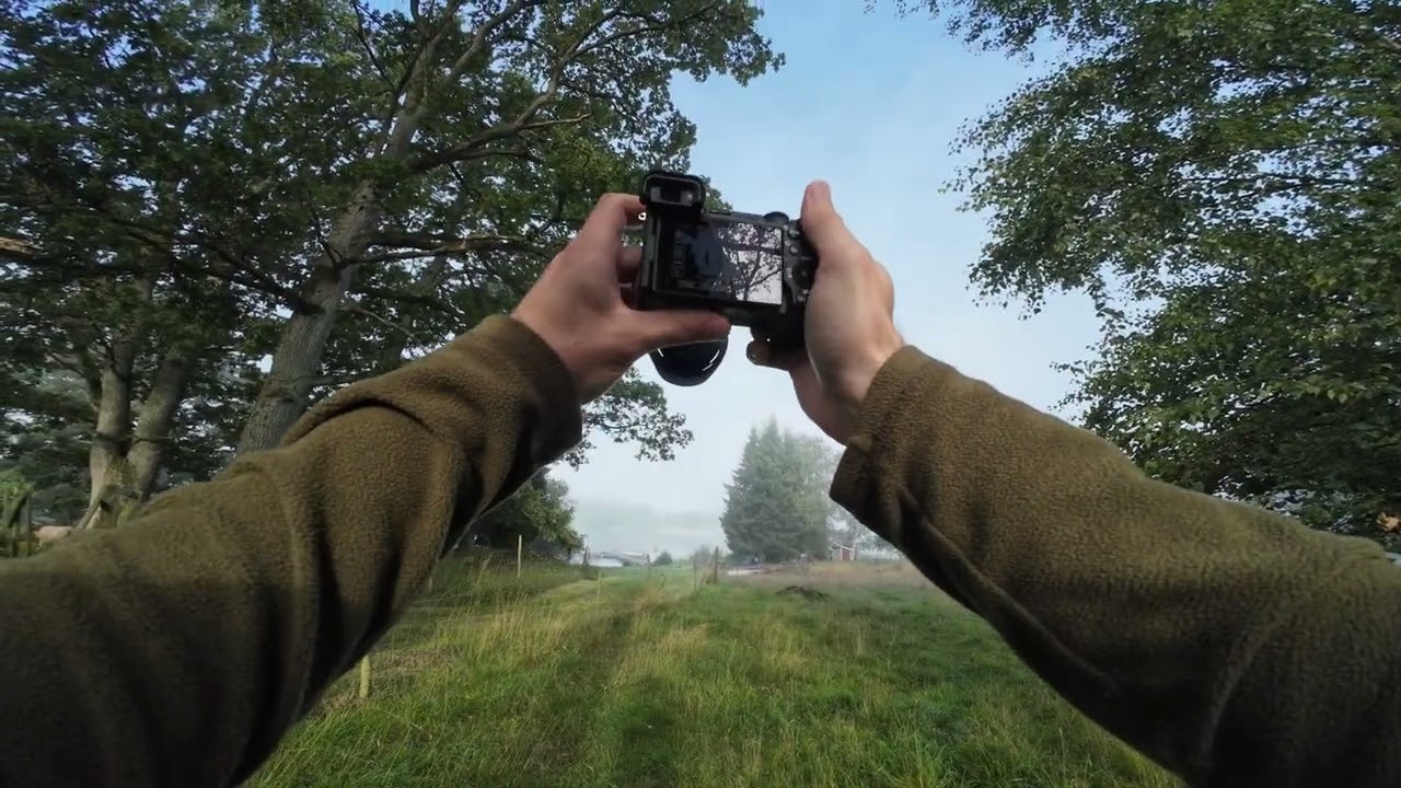 POV Nature Photography in Southern Sweden | Amazing Foggy Summer Morning