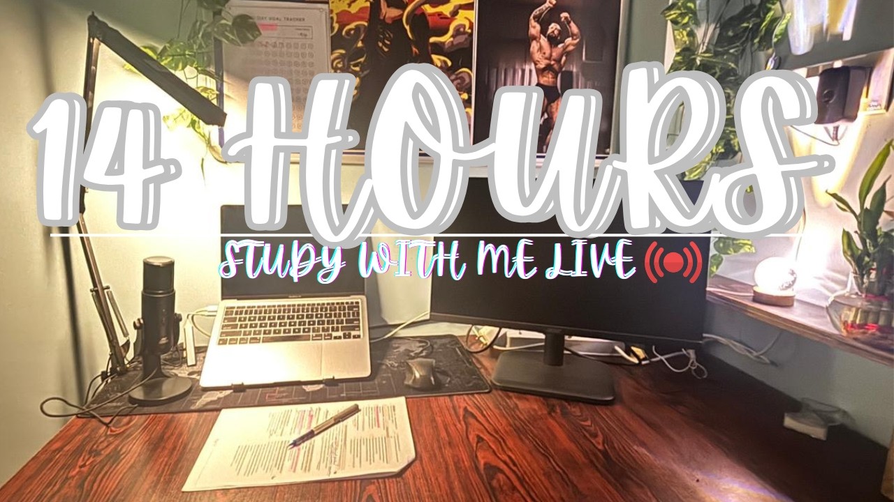 Live Study with me 14 hours| UPSC | 50/10 Pomodoro ⏰️ | Rain Sound ⛈️