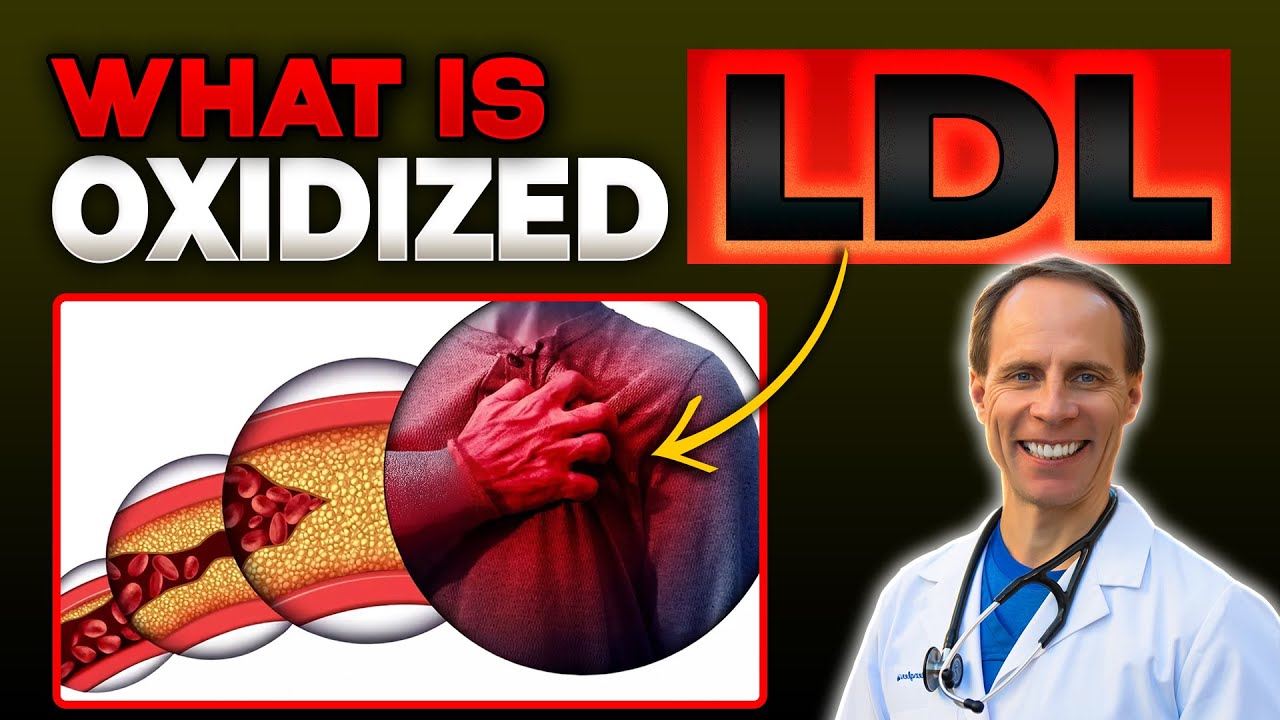 What Is Oxidized LDL And Why It Matters For Your Heart Health