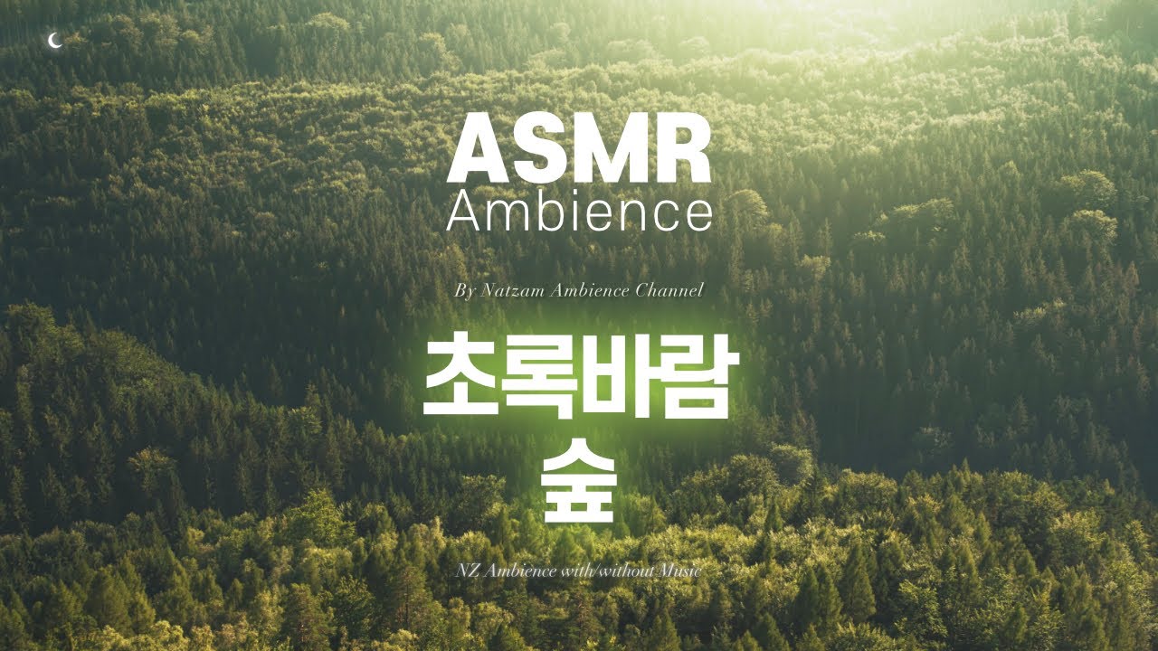 개인 작업용 소리들_01.초록바람숲_(산뜻_개운한바람).mp4 ASMR
